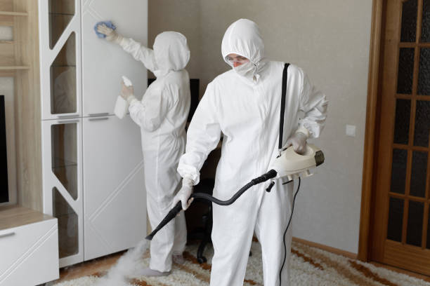 Best Commercial Mold Removal  in Bushnell, FL