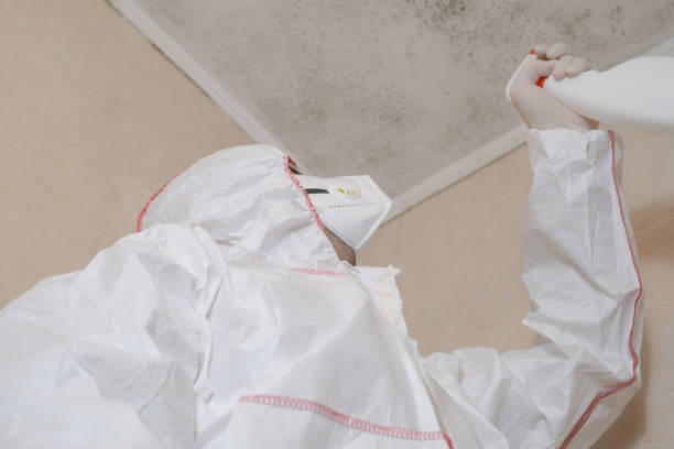 Best Mold Remediation  in Bushnell, FL