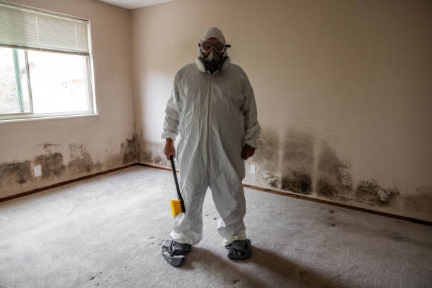 Best Mold Damage Repair  in Bushnell, FL